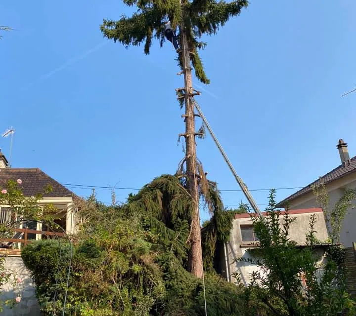 CK Espaces Verts, visuel 2