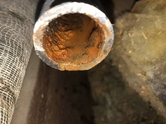Clean Cuve, visuel 2