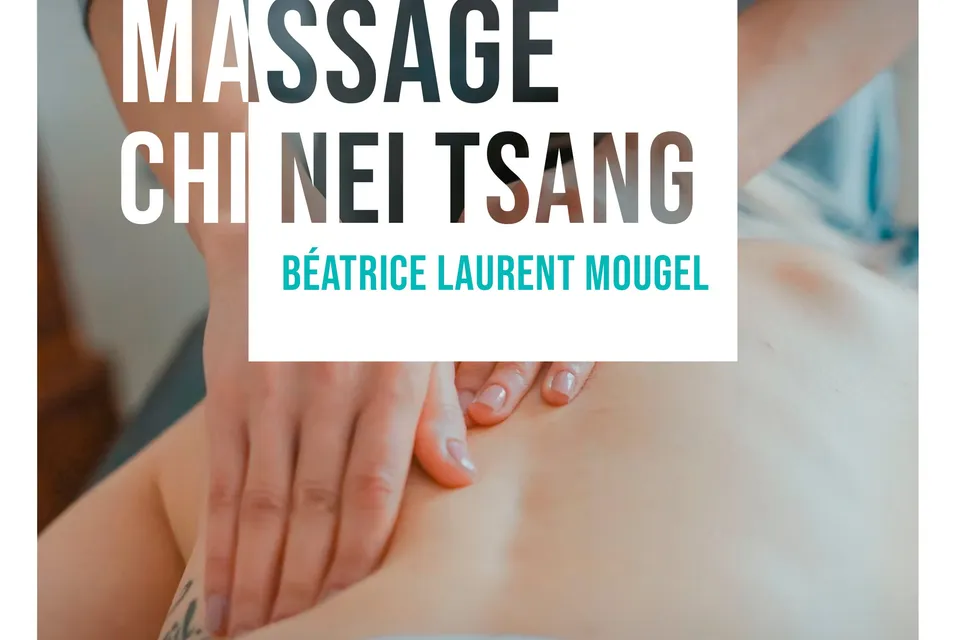Béatrice Laurent Mougel, visuel 4
