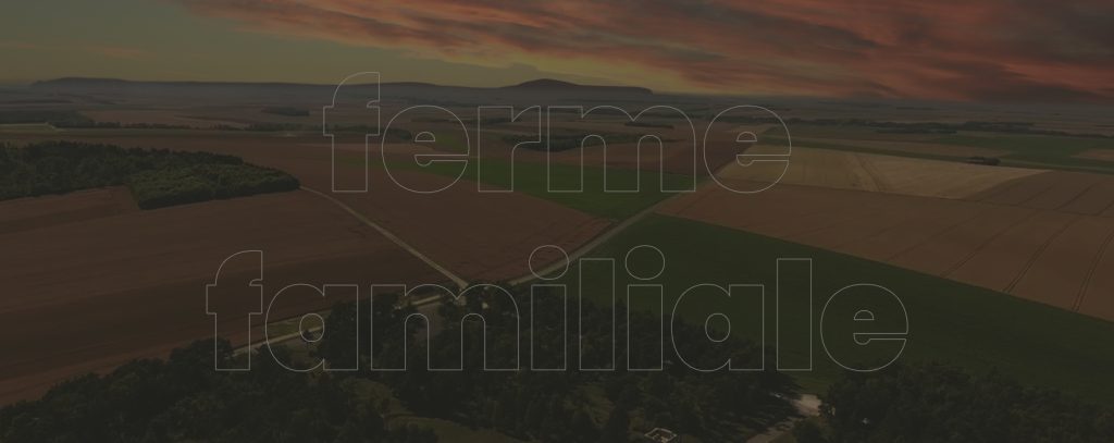 Élevage artisanal de volailles, la Ferme des Argonautes