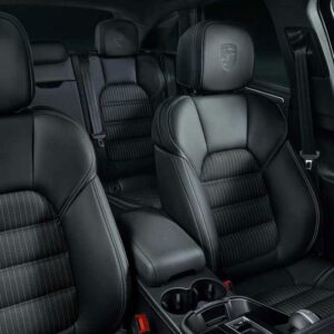 Élimination professionnelle des poils d'animaux et taches incrustées